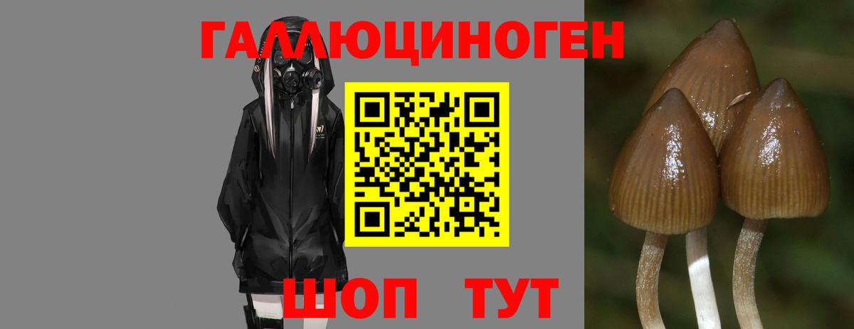 Alpha PVP СОЛЬ кристаллы  ГАШ  Вход с VPN  Меф МЯУ МЯУ кристаллы  Менделеевск  Бошки Шишки  LSD-25 